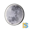 Настенно-потолочный светильник Escada Planet 10226/SG LED Moon