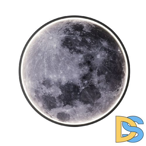 Настенно-потолочный светильник Escada Planet 10226/SG LED Moon