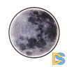 Настенно-потолочный светильник Escada Planet 10226/SG LED Moon