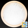 Настенно-потолочный светодиодный светильник Toplight Calista TL9490Y-00PN