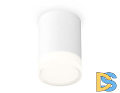 Потолочный светильник Ambrella Light Techno Spot XS7421023 (C7421, N7160)