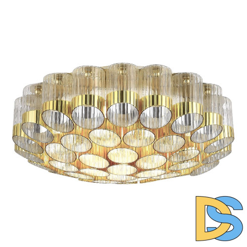 Потолочная люстра ST Luce Accord SL1662.302.19