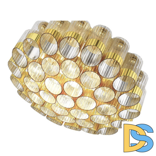 Потолочная люстра ST Luce Accord SL1662.302.19