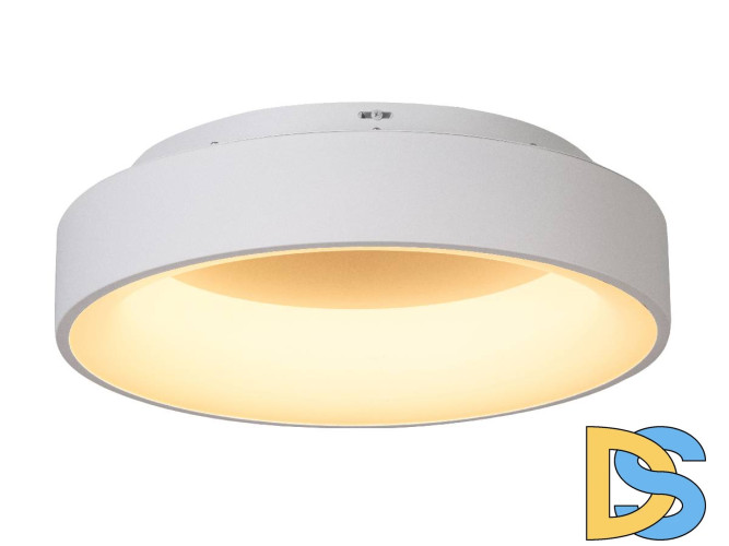 Потолочный светильник Myfar Shannon MR2194-1PL