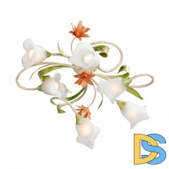 Потолочная люстра Vitaluce V1532/6PL