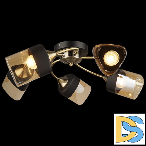 Потолочная люстра Reluce 04153-0.3-05