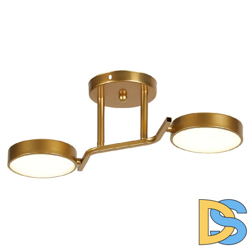 Потолочный светильник Escada Starlight 10273/2LED