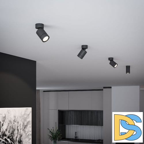 Накладной спот Elektrostandard Niro 4690389203268 25013/01 a065463