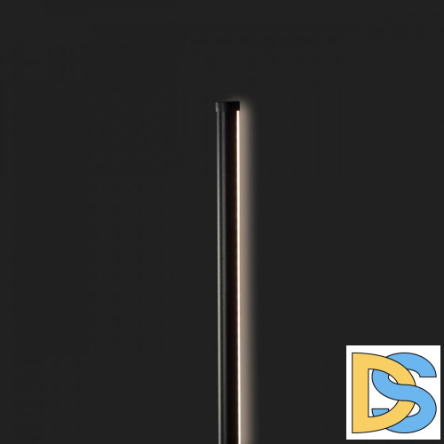 Настенный светильник Loft IT Rays 10052BK