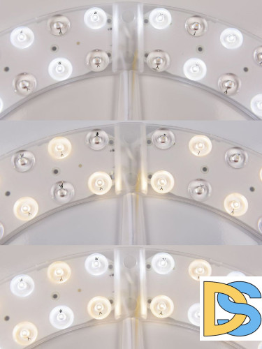 Потолочный светильник Bohemia Ivele Crystal 19321/25IV/LED-DIM Ni