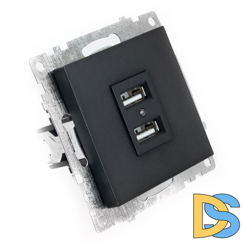 Розетка USB 2-местная Stekker Катрин 39616