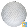 Настенно-потолочный светодиодный светильник Toplight Calista TL9490Y-00WH