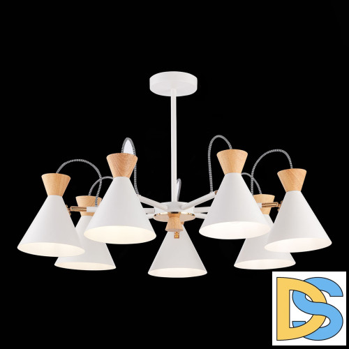 Потолочная люстра Evoluce Modica SLE125102-07