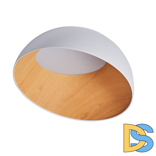 Потолочный светильник Zortes Baum ZRS.01201.19