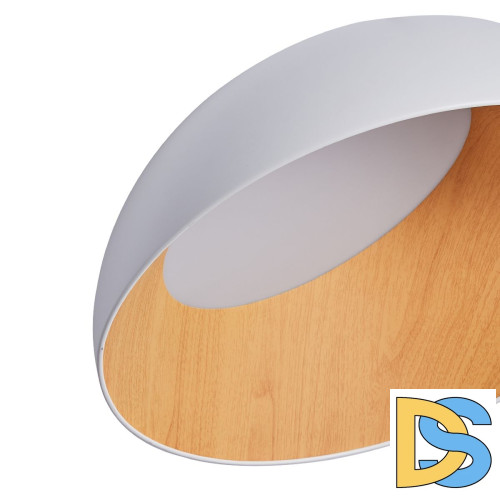 Потолочный светильник Zortes Baum ZRS.01201.19