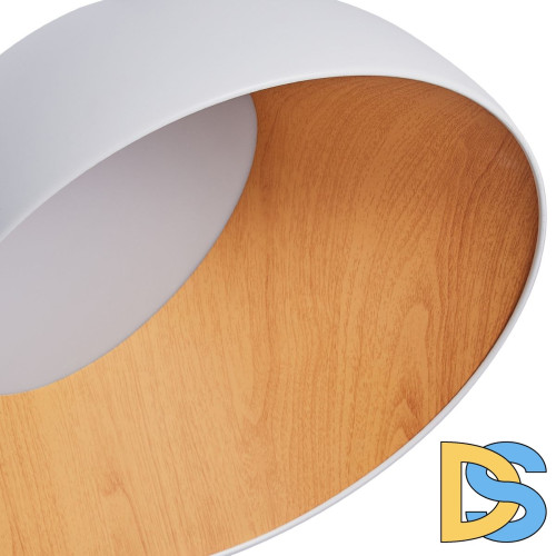 Потолочный светильник Zortes Baum ZRS.01201.19