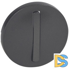 Лицевая панель Legrand Celiane выключателя одноклавишного графит 065201