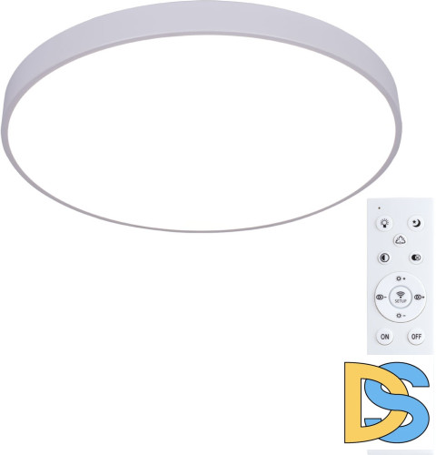 Потолочный светодиодный светильник Arte Lamp Arena A2671PL-1WH