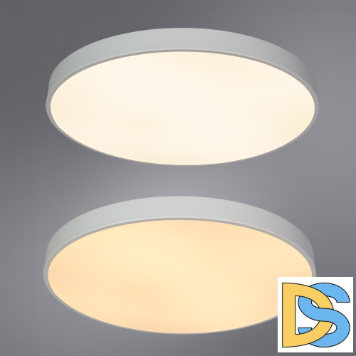 Потолочный светодиодный светильник Arte Lamp Arena A2671PL-1WH