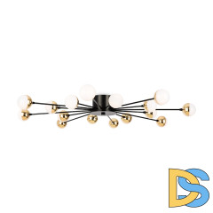 Потолочная люстра Freya Celebrity FR5242CL-16B