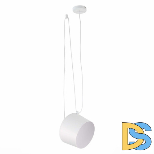 Подвесной светильник Evoluce Trieste SLE120653-01