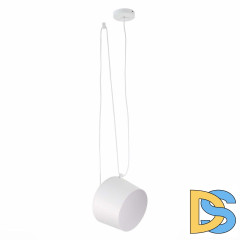 Подвесной светильник Evoluce Trieste SLE120653-01