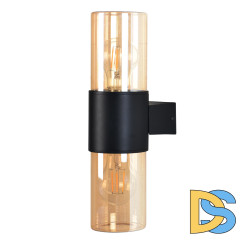 Уличный настенный светильник Arte Lamp Seginus A6515AL-2BK