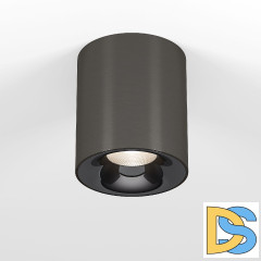 Накладной светильник Elektrostandard Primo 25116/LED 4690389212970 a069415