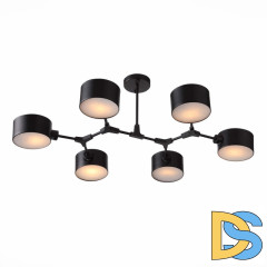Потолочная люстра Evoluce Gimento SLE183402-06