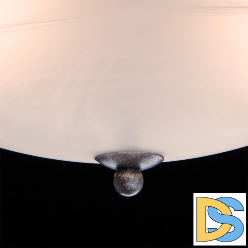 Потолочный светильник MW-Light Аида 323012603