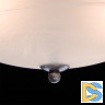 Потолочный светильник MW-Light Аида 323012603