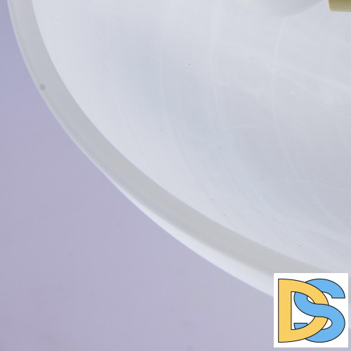 Потолочный светильник MW-Light Аида 323012603