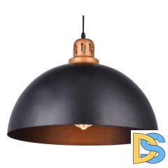 Подвесной светильник Arte Lamp Eurica A4249SP-1BK