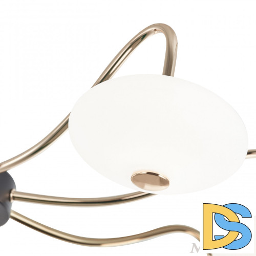 Люстра на штанге Arte Milano Neapolis 273908/6 BK/GD