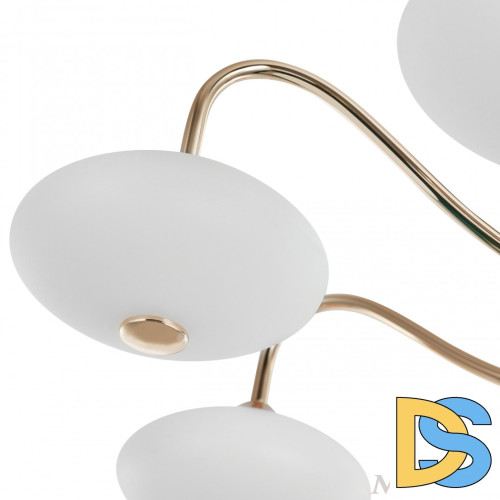 Люстра на штанге Arte Milano Neapolis 273908/6 BK/GD