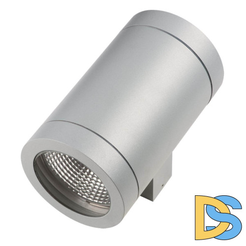Уличный настенный светильник Lightstar Paro 351619