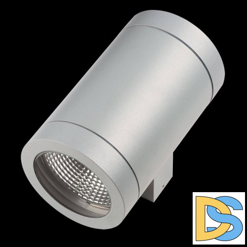 Уличный настенный светильник Lightstar Paro 351619