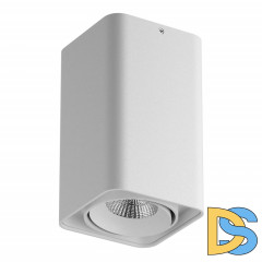 Накладной светильник Lightstar 052336