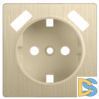 W1179510/ Накладка для розетки USB (шампань рифленый)