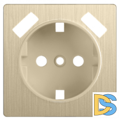 W1179510/ Накладка для розетки USB (шампань рифленый)