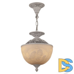 Подвесной светильник Bohemia Ivele Crystal AL7003P/25 WMN Angel