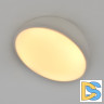 Потолочный светильник Escada 20025SMA/01LED WH