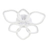 Потолочная светодиодная люстра Escada Bubble 10251/6LED
