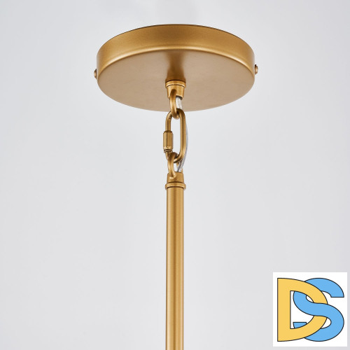 Подвесной светильник Favourite Radiales 3099-1P