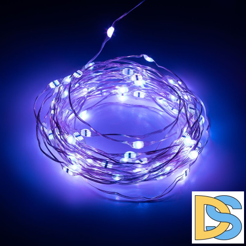 Светодиодная гирлянда Эра ЕGNIG - PU-1 Б0055993