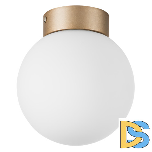 Потолочный светильник Lightstar Globo 812013