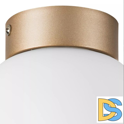 Потолочный светильник Lightstar Globo 812013