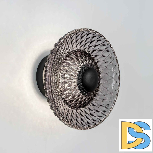 Настенный светильник Modestyle MS.6671.250 BK