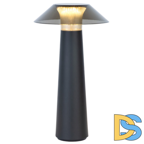 Настольная лампа с аккумулятором Elektrostandard Future TL70200 4690389192029 a062379