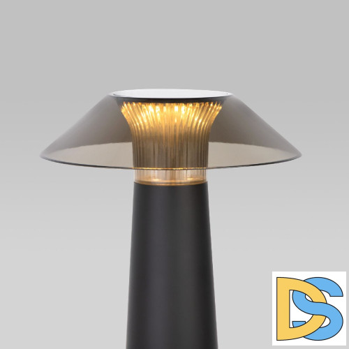 Настольная лампа с аккумулятором Elektrostandard Future TL70200 4690389192029 a062379